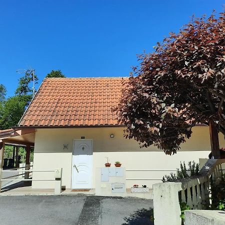 Casas Do Caminho Velho Διαμέρισμα Ribeira de Pena Εξωτερικό φωτογραφία
