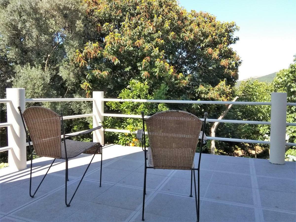 Casas Do Caminho Velho Διαμέρισμα Ribeira de Pena Εξωτερικό φωτογραφία
