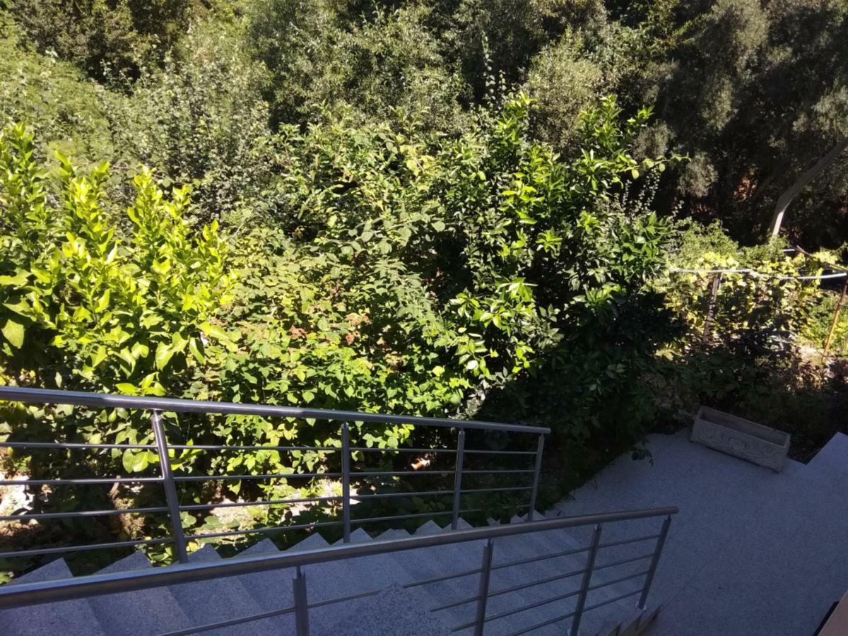 Casas Do Caminho Velho Διαμέρισμα Ribeira de Pena Εξωτερικό φωτογραφία